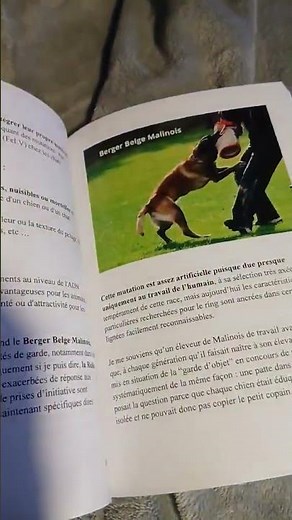 GENETIC MUTATIONS: BENEFICIAL OR HARMFUL?