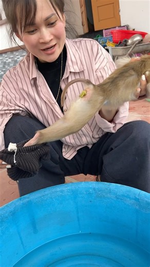 After several days of constipation, the little monkey finally had a bowel movement.