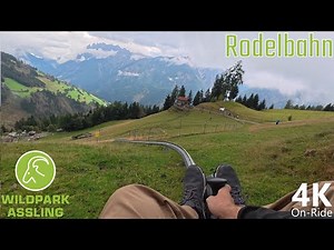 Fun Alpin Osttirol - 4K On-Ride - Wildpark Assling - Brandauer Rodelbahn - POV