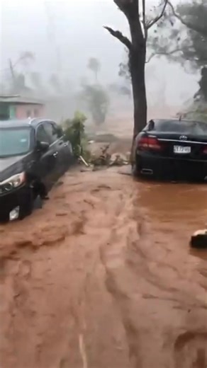 15K views · 85 reactions | Jamaican Prime Minister Andrew Holness declared the country a disaster zone on Tuesday after Hurricane Melissa caused fatalities and extensive damage to critical infrastructure, including hospitals. The cyclone, now a Category 4, continues toward eastern Cuba, where authorities have activated the highest alert level and begun evacuating hundreds of thousands of residents. | New York Post Lifestyle | Facebook
