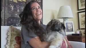 Old Dog's New Trick: Surviving a 120-Foot Fall