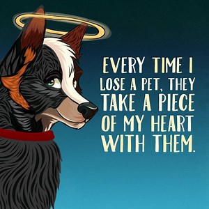 120K views · 7.9K reactions | It's so hard to lose your best friend ❤️ | Animal Rescue Home | Facebook