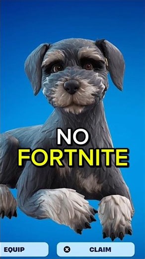 This dog arrived in Fortnite, but its owner hated it! 😡