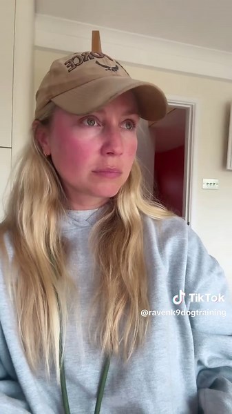 Understanding E-Collar Training for Dogs