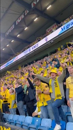 BodøGlimt Fans Celebrate Cup Final Victory on Penalties! #trophy