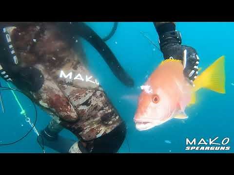 How To: Use the MAKO Spearguns Spike Fish Stringer