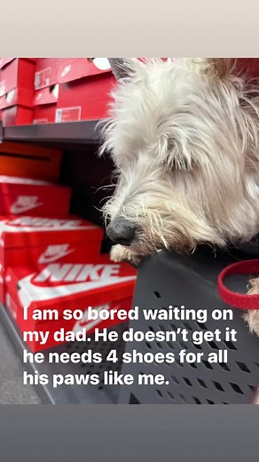 25 reactions | PrestonSpeaks.com on Reels | Facebook