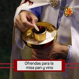 Offerings for mass bread and wine, what you should know ▷➡️ Postposmo