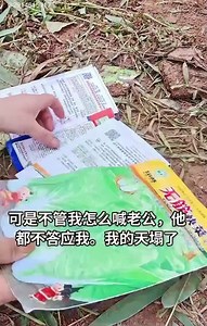 Yuav txiv pem suav teb tsi tau zoo xws nej xav nawb! Ib tug ntxhais tsi muaj neej tsi muaj tsav, koj mus yuav txiv dhau kuj. Yog koj tug txiv hlub koj ces koj nyob kaj siab; yog koj tug txiv tsi hlub koj ces koj yuav txom nyem dua lub neej qub. Tsi hais mob nkeeg, peb cov ntxhais Hmoob yuav tsum xav kom meej mog | TSHAJ HMOOB TXUJ