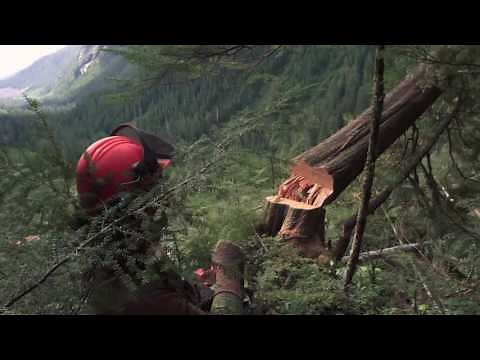 West Coast Faller Ep 02 "West Coast Logging" Sev.photography