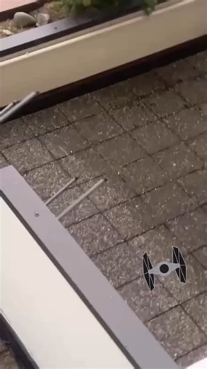 randomness on Instagram: "Random memes from my phone pt.300 #reels #funny #memes #random"