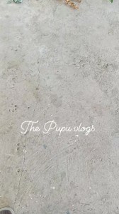 Baby pupu🍼🍼 | The Pupu vlogs