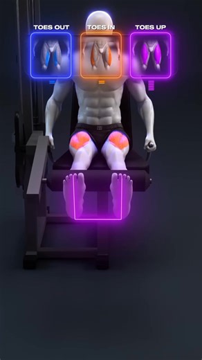 2K views · 20 reactions |  Leg Extensions: Toes Out, In, or Up? Here’s What Changes #fblifestyle #bodybuilding #workout #motivation #viral #fyp #reels #trending | Reels 90 | Facebook