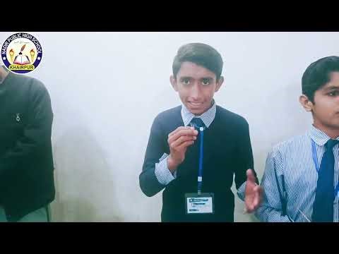 Neuron Structure (presentation & model)