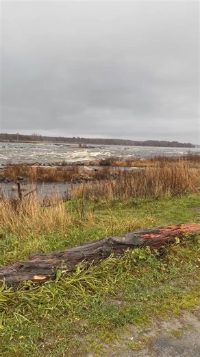 Tornio River Rapids. Salmon and Whitefish | Joseph Trybulec