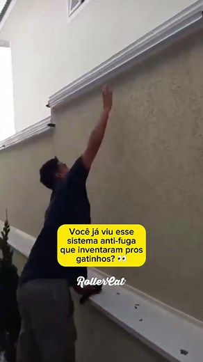 Rollercat Brasil no TikTok