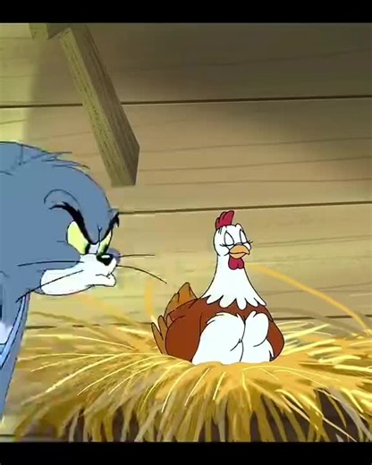 Tom and Jerry#tomjerry #tom-vs-jerry#tom #tomandjerry #funnyvideo