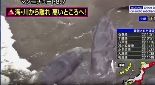 Heartbreaking Video Shows Lifeless Bodies Of 4 Giant Whales Getting Washed Up On Shore At Japanese Beach