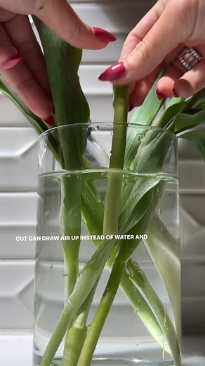 12K views · 185 reactions | Did you know this fresh flower tip? 勞...