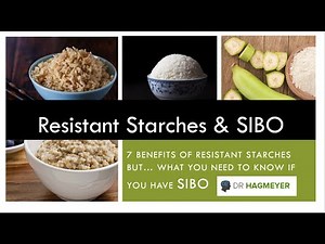 Resistant Starches and SIBO-What Everyone with SIBO Must Know.