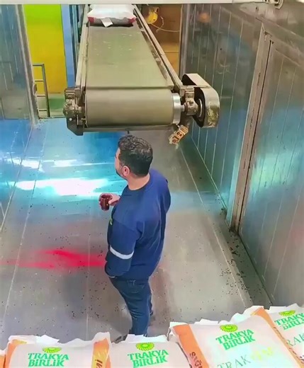 Caught on camera: Snitched on for ‘drinking tea all day’ 😂 Reality: One hand holding tea, the other slinging 50kg sacks nonstop. Zero spills.Boss saw the footage… immediate raise. Legend. 💪