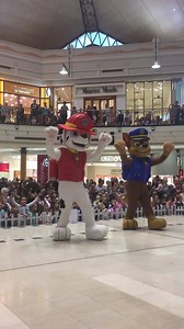62K views · 619 reactions | Nick Jr.'s PAW Patrol are visiting Karrinyup this October School Holidays for shows, meet + greets and craft! Week 1 - Shows and Meet & Greets Week 2 - Craft village For more details and times, visit https://www.karrinyupcentre.com.au/what-s-on/nick-jr-s-paw-patrol-at-karrinyup | Karrinyup Shopping Centre | Facebook