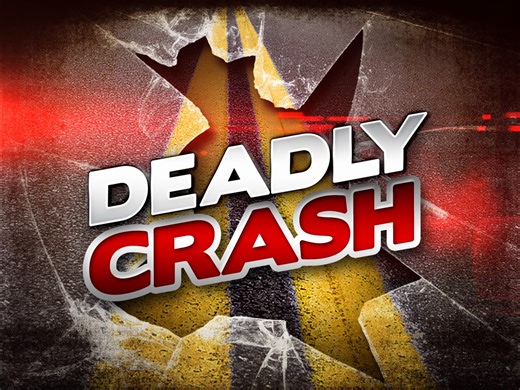 Victim of fatal Meigs County tractor trailer collision identified