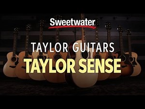 TaylorSense Remote Sensor System for Taylor Guitars Overview