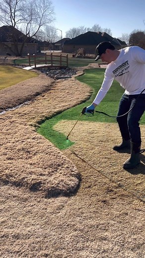 Grass Painting Techniques for a Vibrant Lawn | Garden Grass Painting Videos