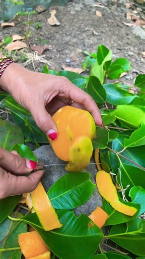 Peeling Mango Fruit #mango