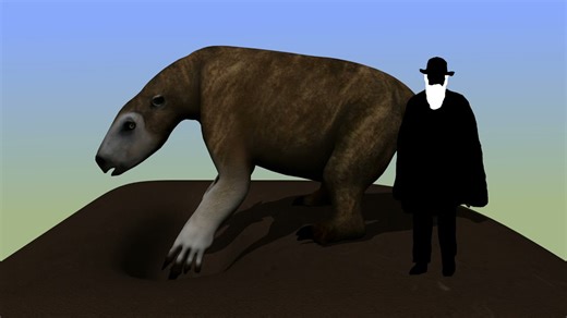 Darwin's ground sloths | Natural History Museum