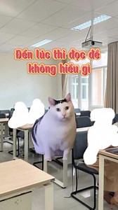 156K views · 7.8K reactions | DUE Troll on Reels | Facebook