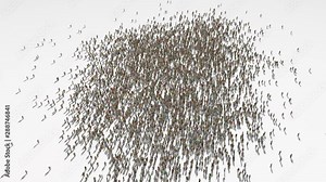 switzerland map. Group of people walk and create a map of switzerland. Stock Video