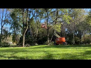 Tree Pruning with a 45-foot Boom Lift (Time-Lapse)