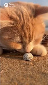 Living the Capybara Lifestyle: Calm & Happy #pets #pets