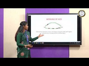 Ant Colony Optimization - Ms J Percy poulin