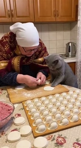 Grandma is making dumplings with a cat!