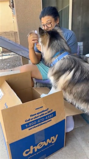 Kage Chewy Unboxing 📦