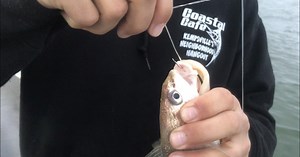 Rain or shine, local captain suggests fishing as a hobby to take on