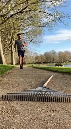 The Jogger
