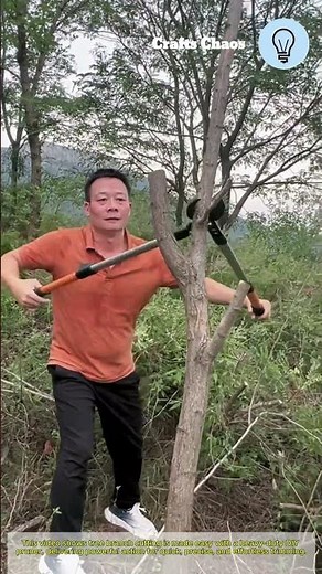 Tree branch cutting made easy: Heavy-duty gear DIY pruner in action