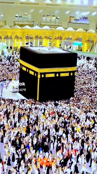 Danash Ali (@danash2479)’s videos with original sound - Danash Ali