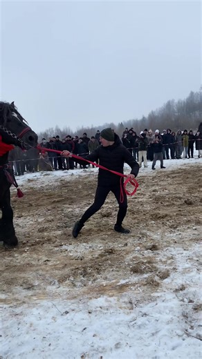 Змагання коніваговозів на Дакара: Ексклюзивний огляд