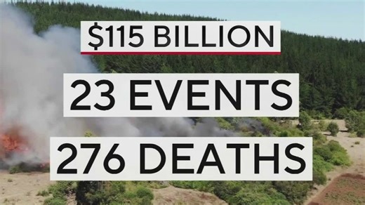 Florida avoids billion-dollar disaster list amid $115 billion in US damage