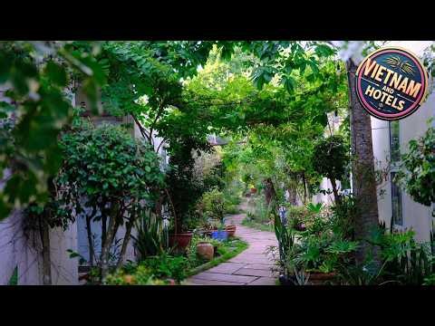 Vila Basi | Tra Vinh, Vietnam | Hotel Review ⭐