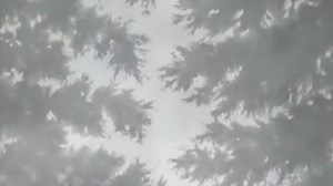 Monster Anime Episode 9 Analysis: Power, Corruption, and the Hunt for...