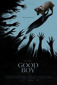 Good Boy | Audience Reviews