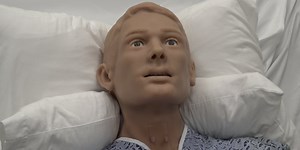 Meet Hal: Husson’s new AI mannequin ushering in new health education era