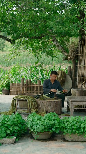 🌿✨ From Plant to Fabric: Witness the Timeless Craft of Hemp Weaving! Discover how raw hemp is masterfully turned into soft, airy fabric — known as the perfect “summer cloth” for staying cool in the heat. Traditional, natural, and beautiful. #HempWeavingHeritage #AcrossAsiaTraditions #EcoCraftAsia #NaturalFabricMagic #WeavingThePast | Across Asia