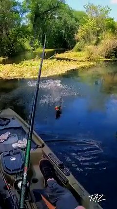 Flip it, toss it on the back of a ChatterBait, swim jig it…it doesn’t matter. The GOAT can do it all! | Z-Man Fishing Products